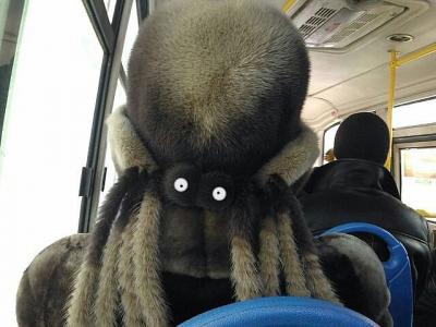 Прикрепленное изображение: spider.jpeg